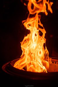 夜のモデルハウス見楽会 さくら市｜注文住宅 ロフトのある平屋 COVACO