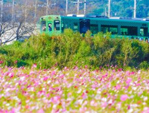 二地域居住は地方移住の1stステップ